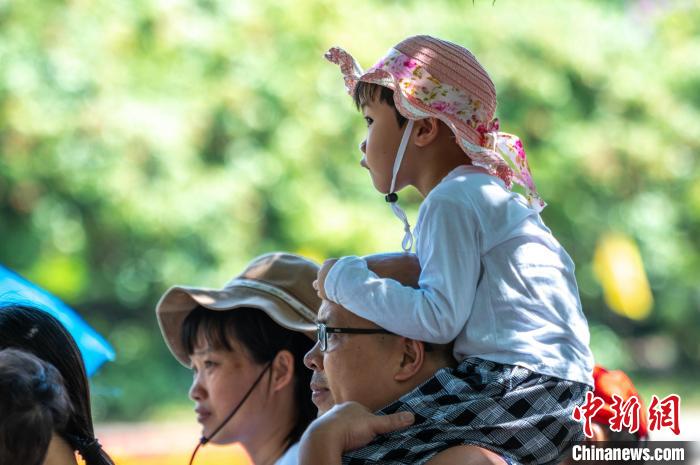 福建莆田：夏日传统龙舟竞渡