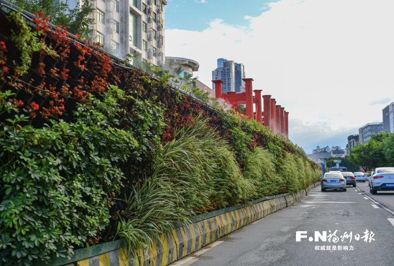 福州：鲜花绿植上围挡 串起城市风景线