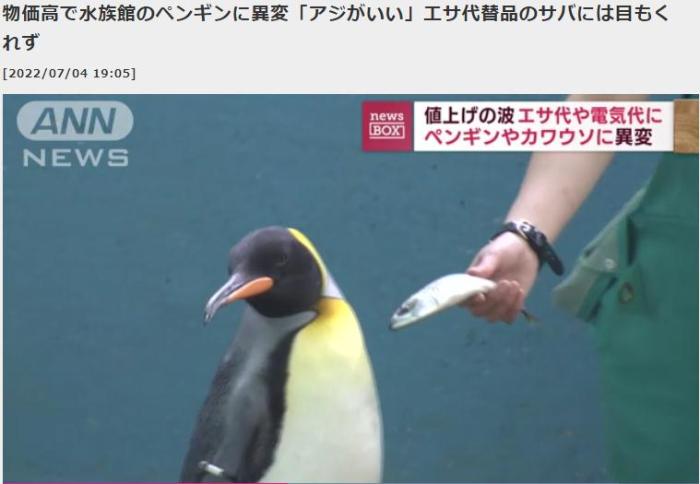 日本水族馆因物价飙升换饲料 企鹅水獭拒吃低价鱼