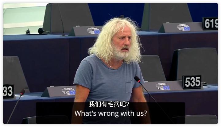 欧洲议会的理性声音：这样对待中国对我们有什么好处？