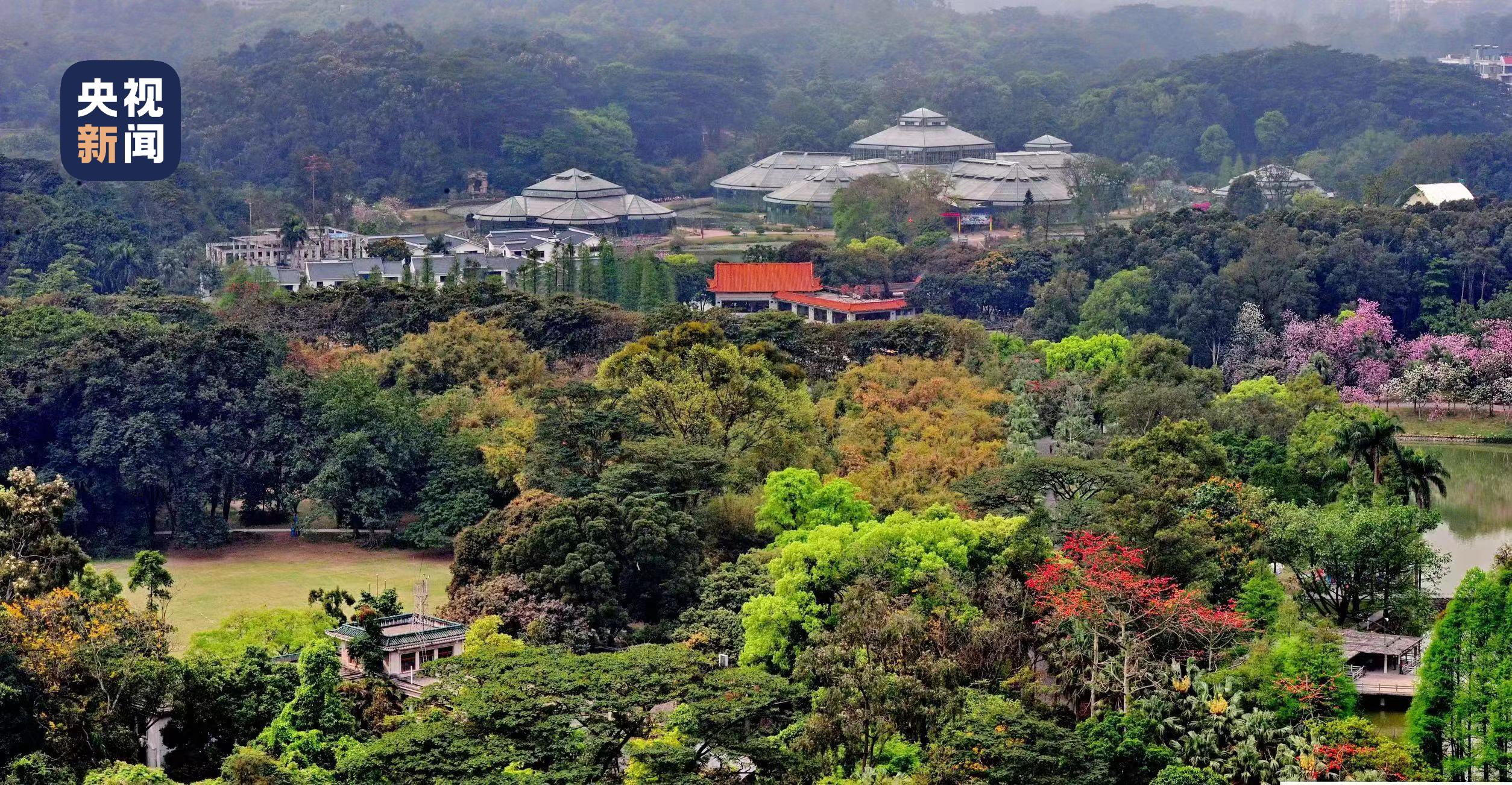 第二个国家植物园来了！华南国家植物园今天揭牌成立