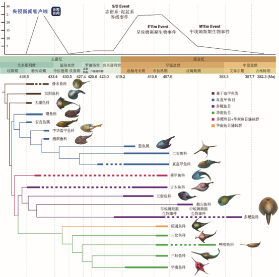 我国科学家首次发现3.9亿年前盔甲鱼类——东方鱼