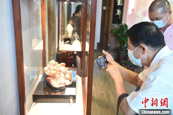 中国工艺美术大师林东传承展亮相福州 寿山石雕精品荟萃