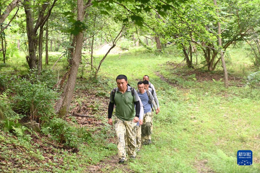 奋进新征程 建功新时代·非凡十年｜吉林：加快推动全面振兴、全方位振兴