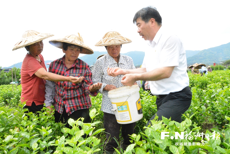 傅天龙的“春伦模式”助周边超12万户茶农致富