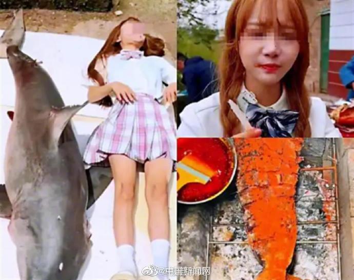律师：吃大白鲨博主最高或面临10年以上刑期