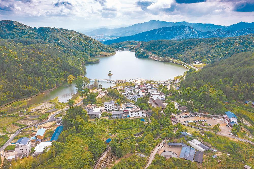 福建武平：林改策源地 今朝好风景