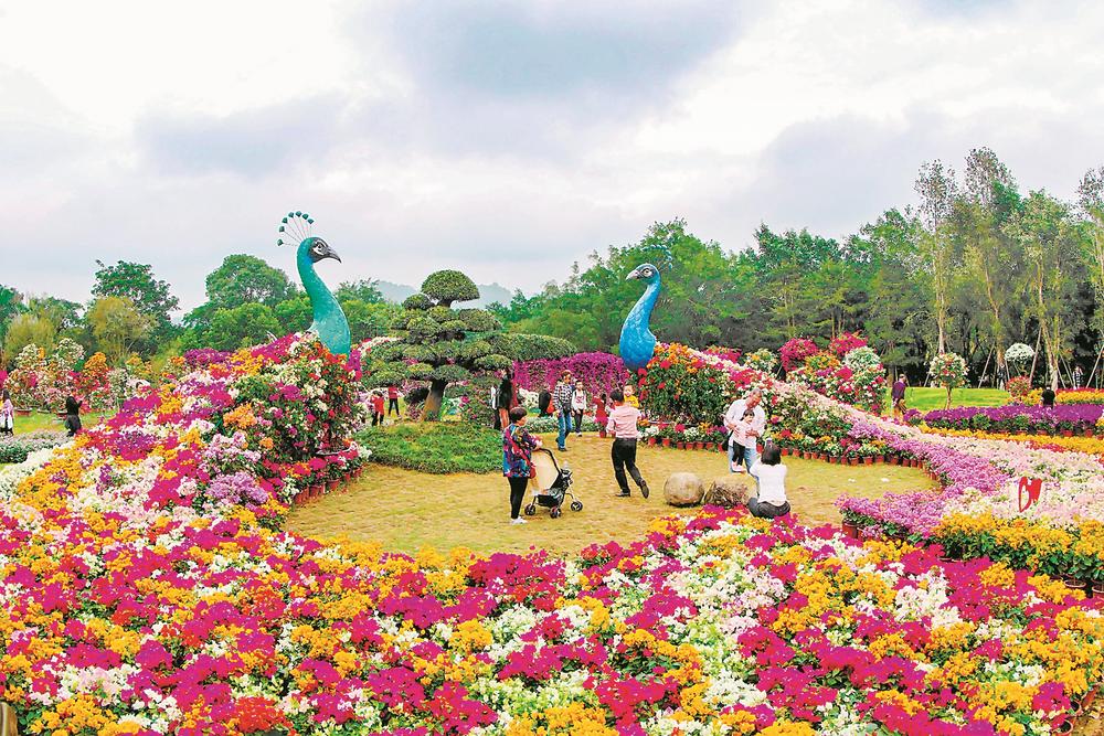 漳州：花果之乡 质量兴农