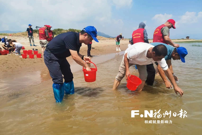 福州渔业行政处罚放流中国鲎进行生态补偿