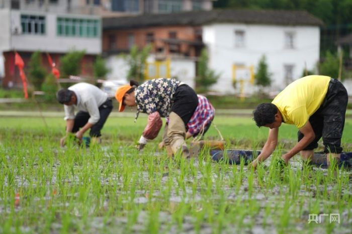 福建两地入选第三批国家农业绿色发展先行区创建名单