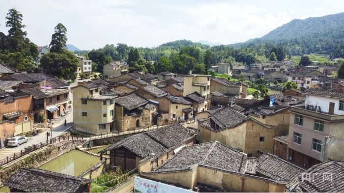 探访闽东“醉美乡村”北墘村：山城酒香引客来