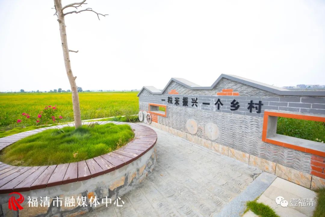316亩水稻公园、500亩超美水上风景……福清这里有太多惊喜！