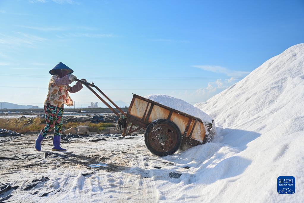 福建莆田：海盐收获忙