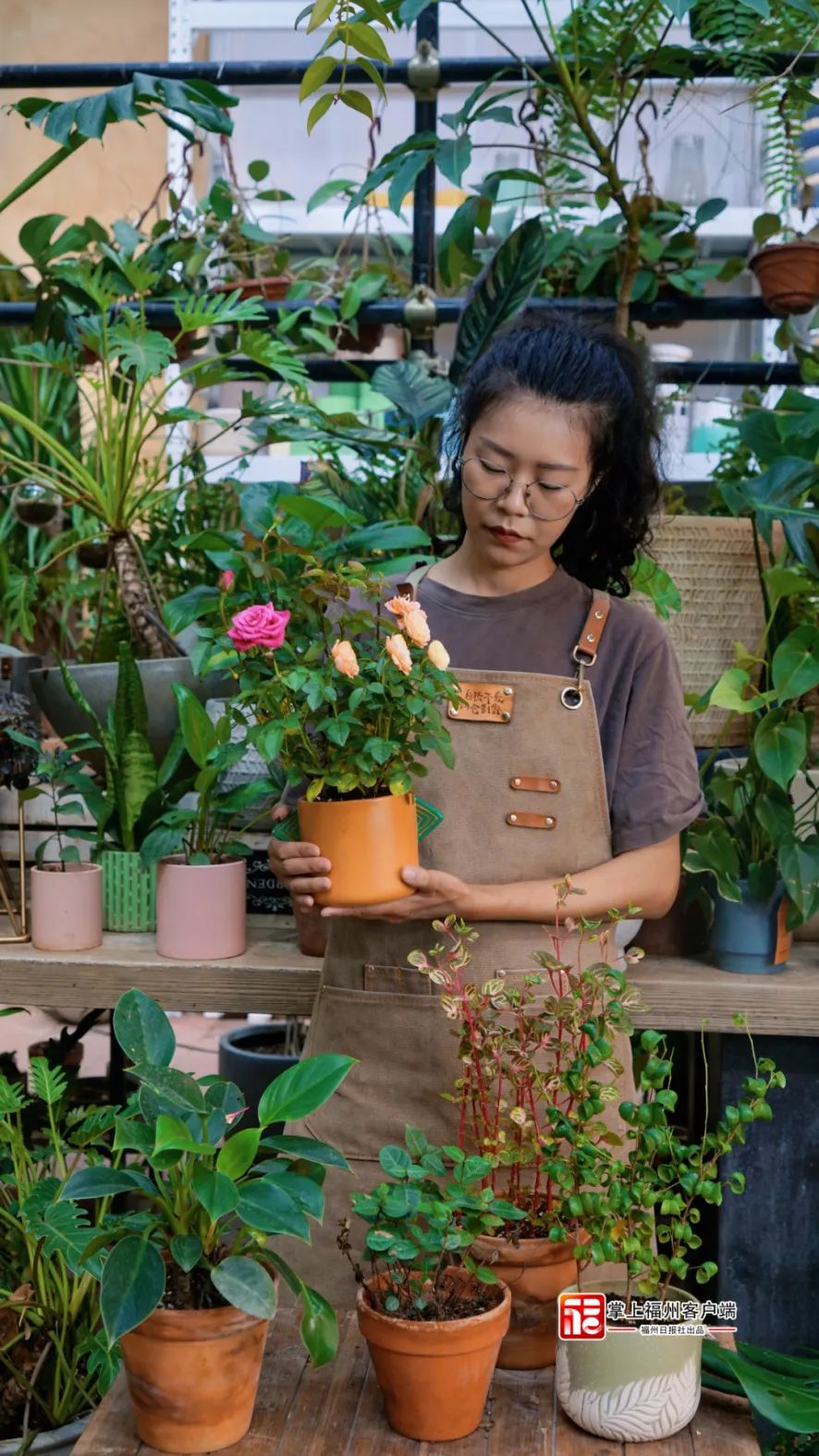 川妹子千里来福州，只想成为“植物人”……