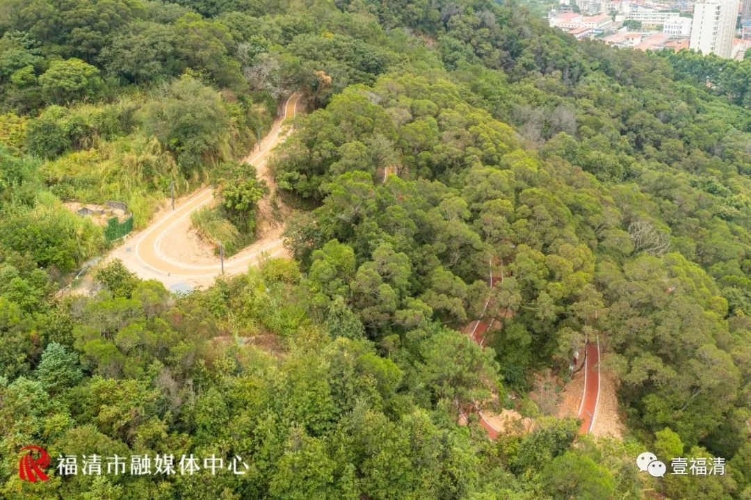 投资近400万元！福清城区这条森林步道正式开放！
