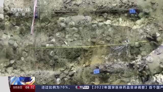 量身打造“保护罩”！新技术助力漳州圣杯屿水下考古