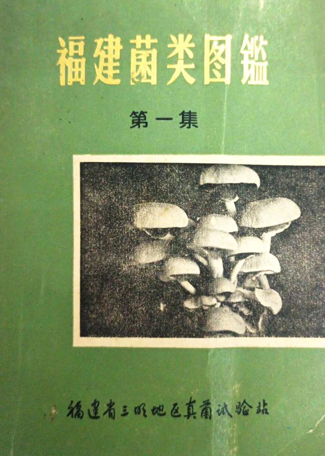 悼念！福建这位“中国食用菌研究第一人”，走了