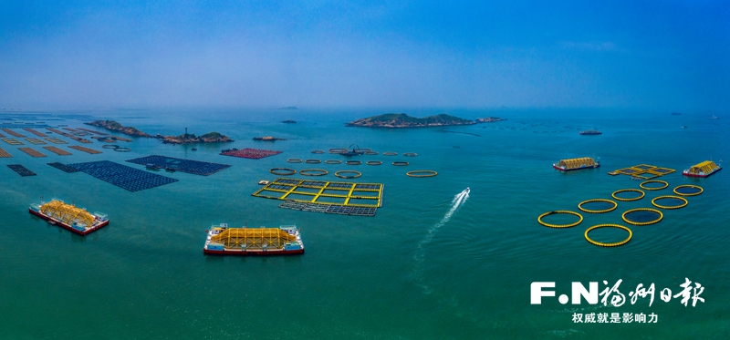 种业创新与产业化工程让连江海洋经济迸发新动能