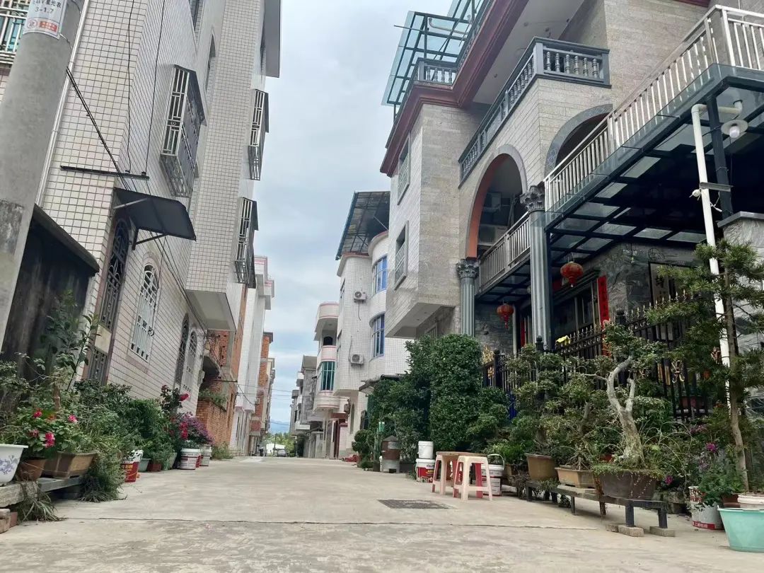 马尾星光村：村民参与齐发力 人居环境再提升