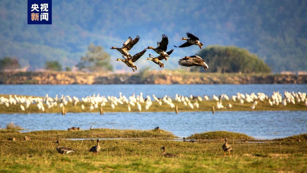 未经批准禁止外来人员进入鄱阳湖国家级自然保护区