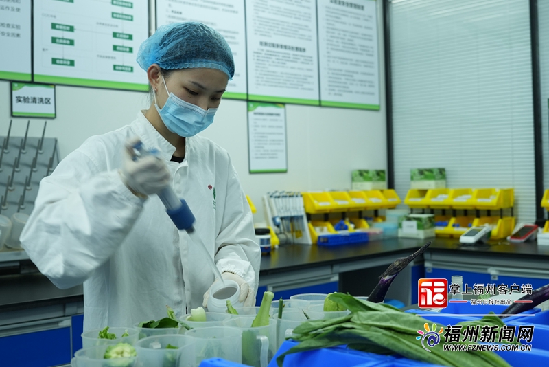 战“疫”保供 记者探访福州4万多平方米生鲜中央加工厂