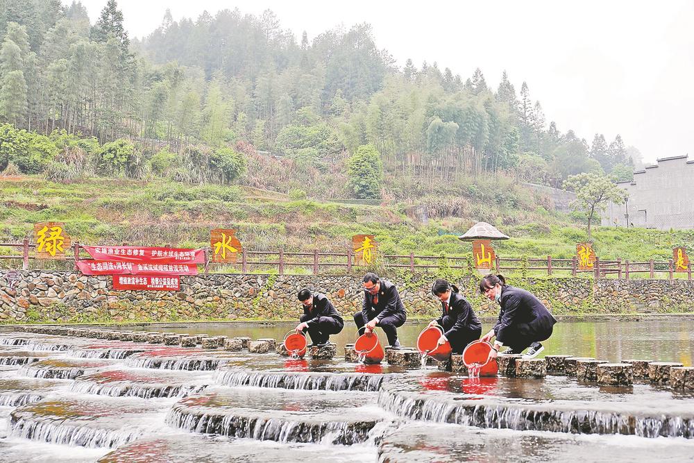 福建：碳汇赔偿，为“空气”买单