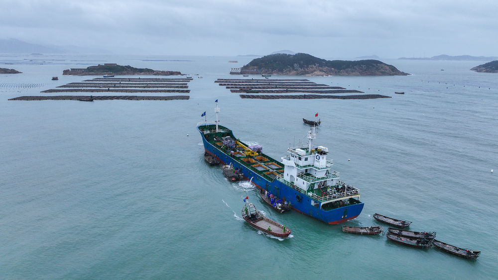 “南北转场”助力连江鲍鱼养殖提升效益