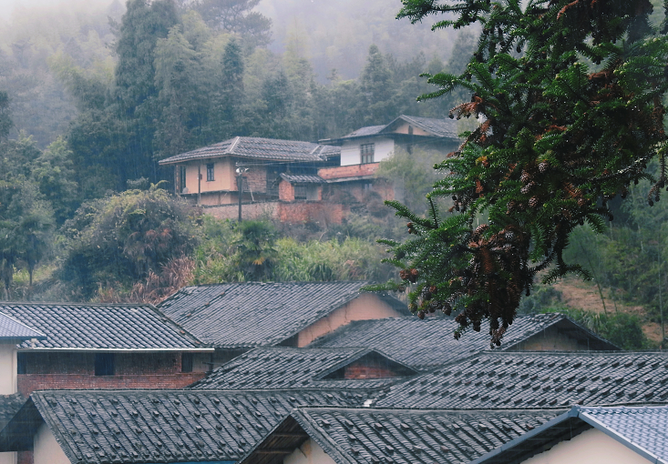 闽清东洋村：烟雨中的山水画卷