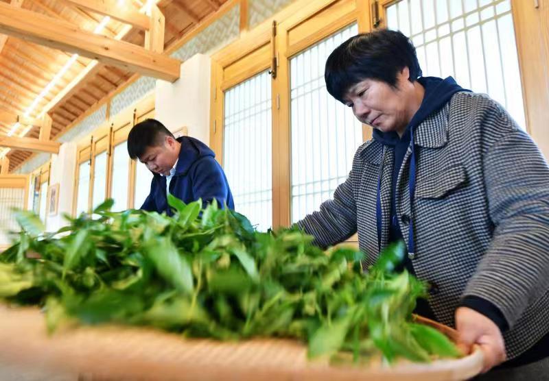 武夷岩茶非遗传承人：让更多人知茶、爱茶