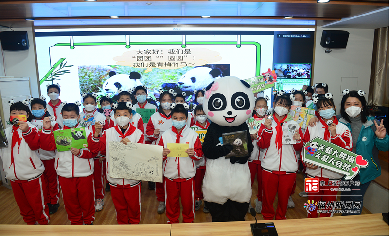 呆萌“使者”跨网联动 福州熊猫世界举办线上研学活动