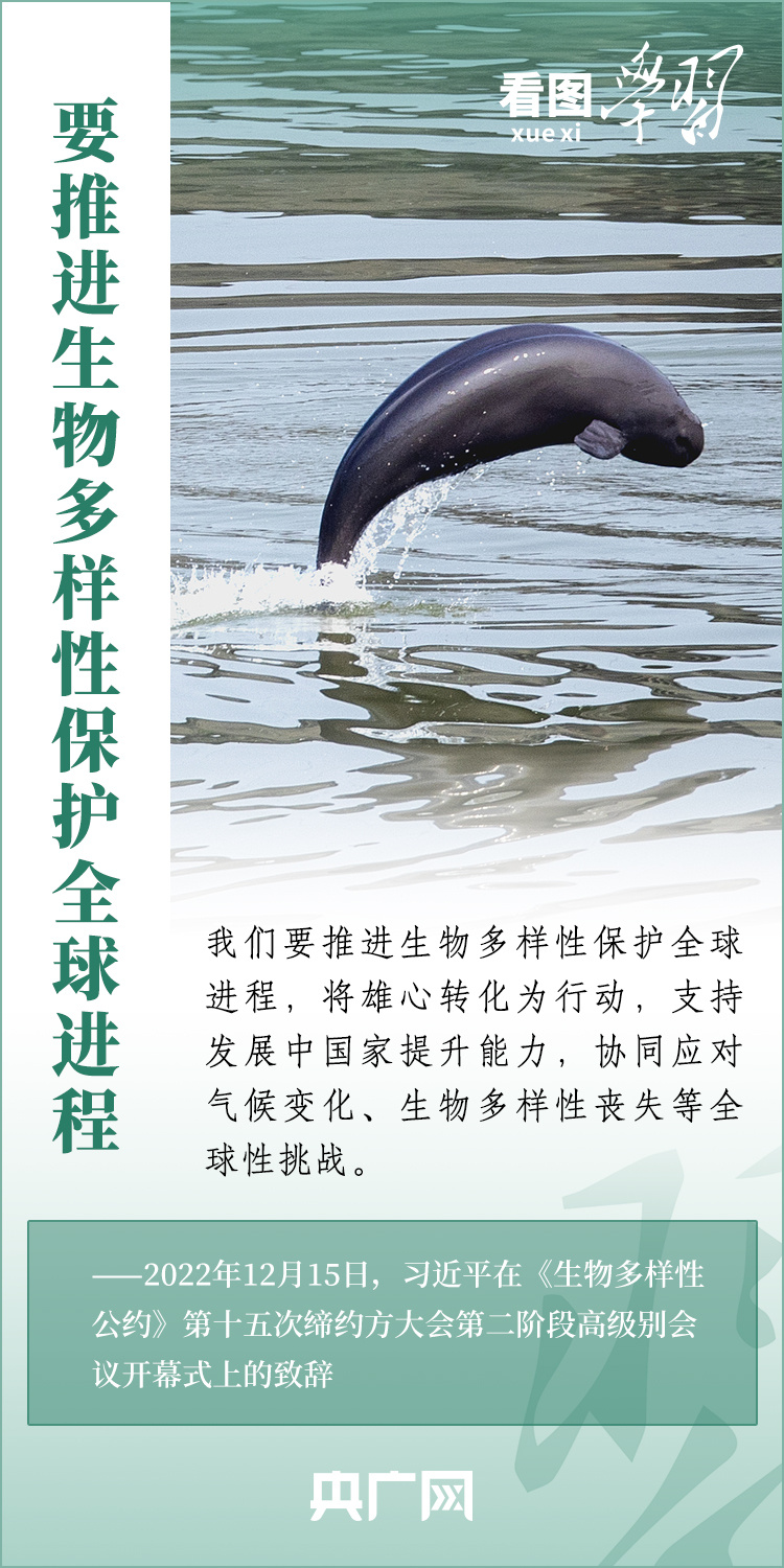 看图学习丨推动全球生物多样性治理迈上新台阶