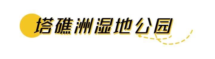 冬日精灵出现，福州这些地方可以邂逅