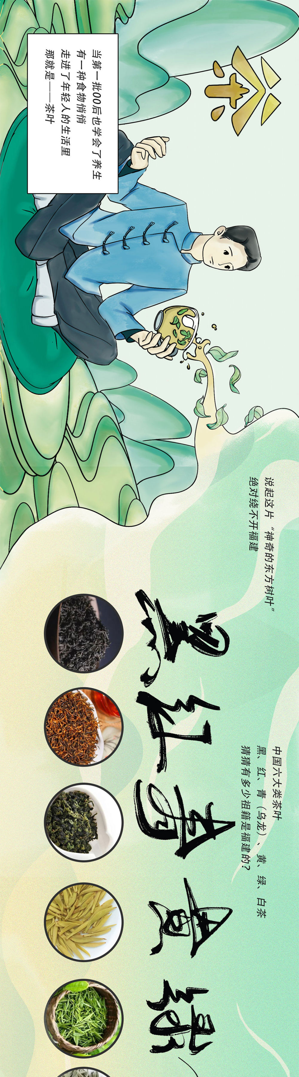 【福建品茶图鉴】这片神奇的东方树叶，藏着多少秘密？