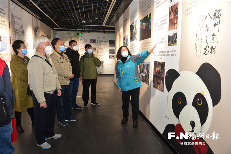 大熊猫落户福州45年了！系列纪念活动23日启动