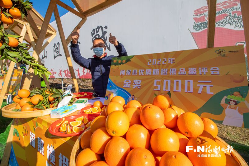 2022年福州（闽侯）榄橙文化节在白沙镇井下村举行