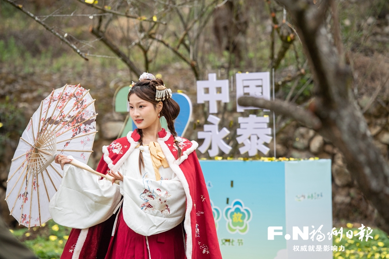 第九届中国（永泰）李梅文化节举行