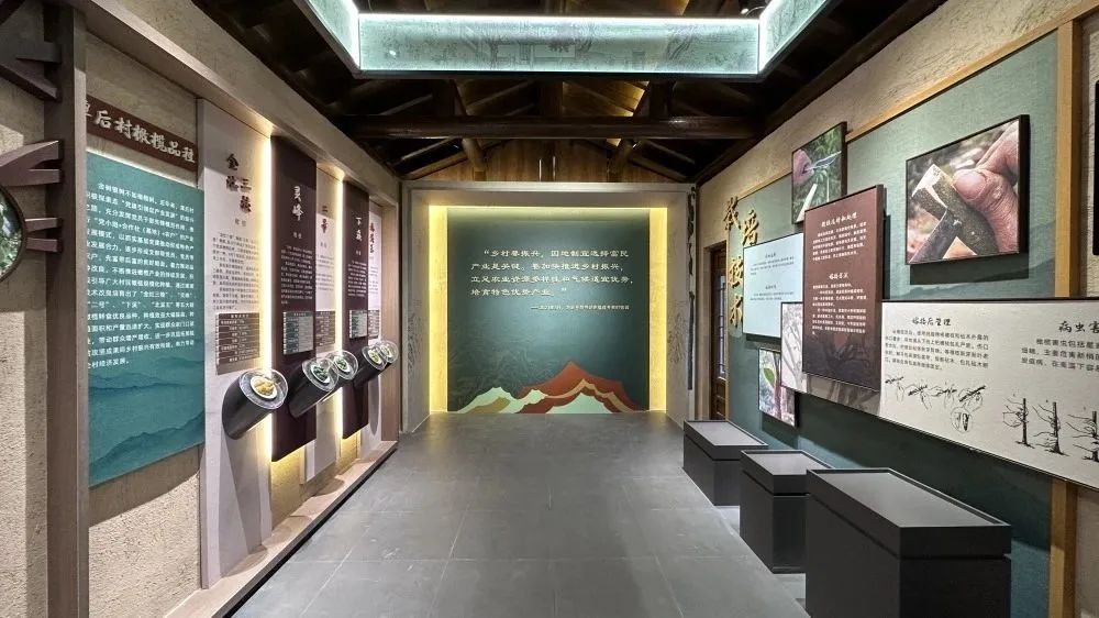 永泰县岭路乡：有趣的橄榄博物馆