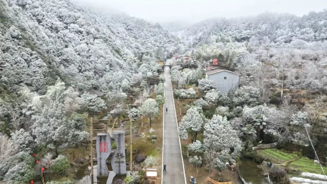 -0.2℃！福州发布霜冻预警！过年会下雪吗？