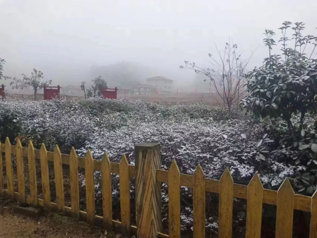 -0.2℃！福州发布霜冻预警！过年会下雪吗？