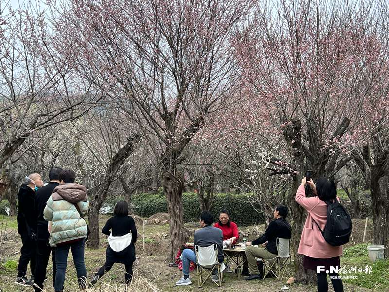荆溪“梅”景等你来赏 近400亩红白粉梅花迎来盛花期