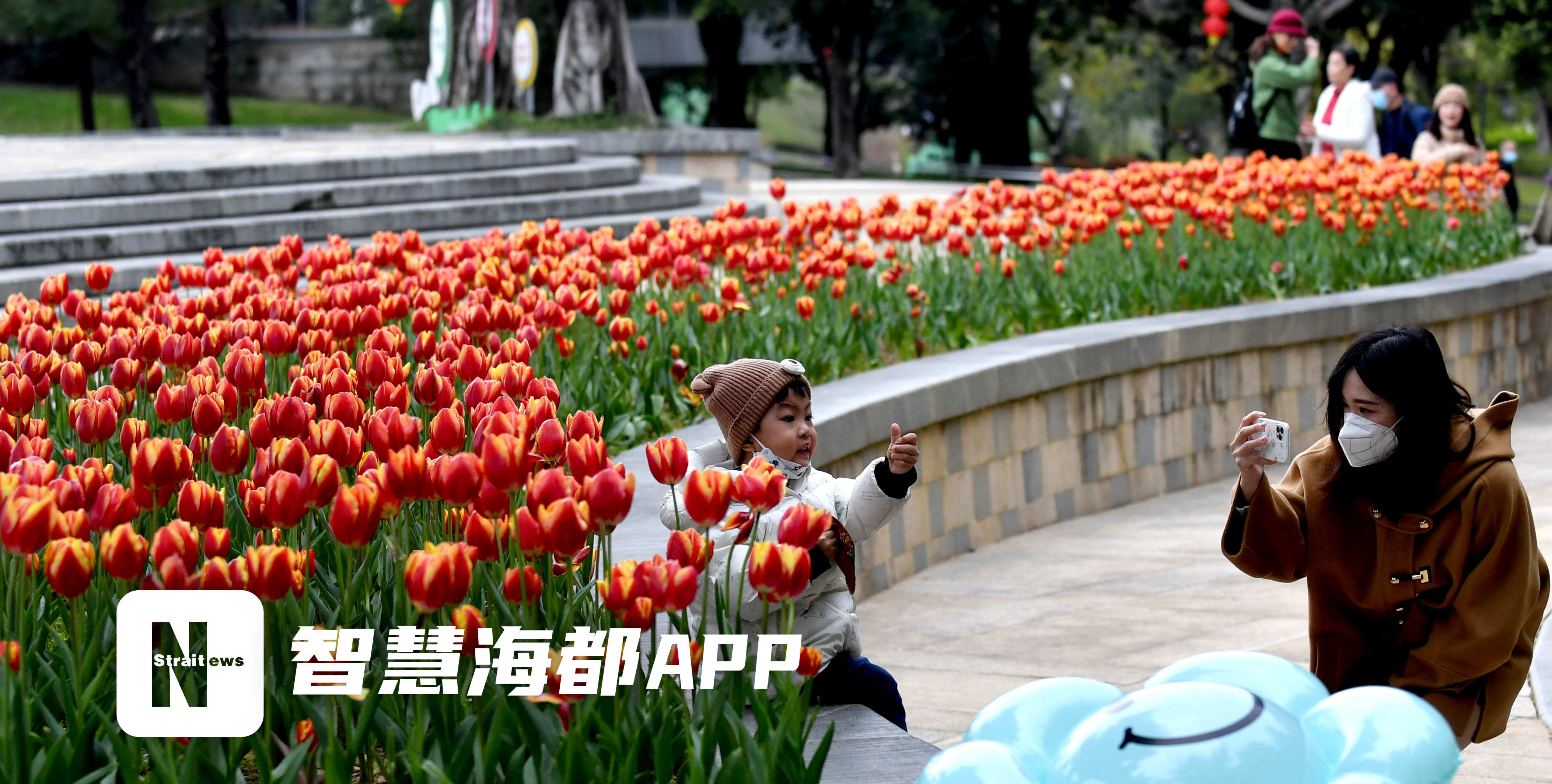 二月初春，福州乌龙江公园十万余株郁金香如约绽放