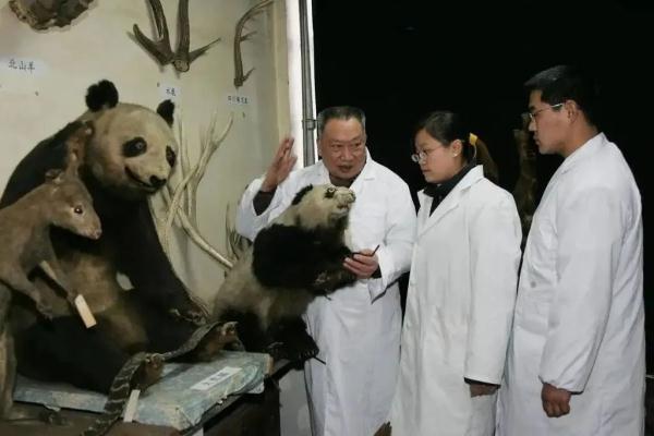 “中国大熊猫之父”胡锦矗去世，保护国宝的国宝走了