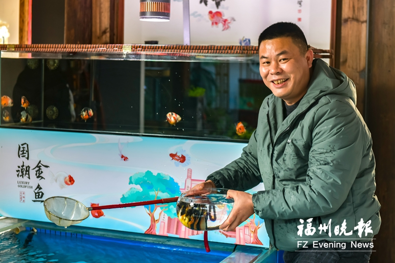 黄林青：全国首建金鱼博物馆 线上线下传播金鱼文化
