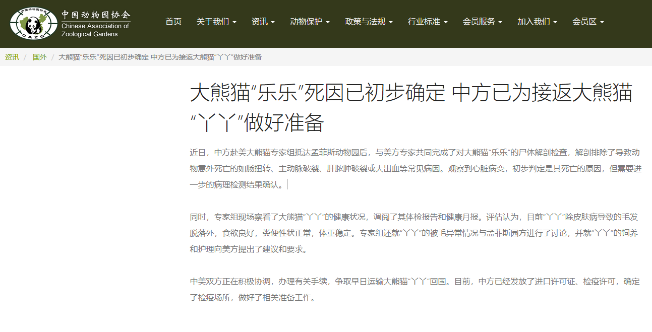 中国动物园协会：大熊猫“乐乐”死因已初步确定 中方已为接返大熊猫“丫丫”做好准备