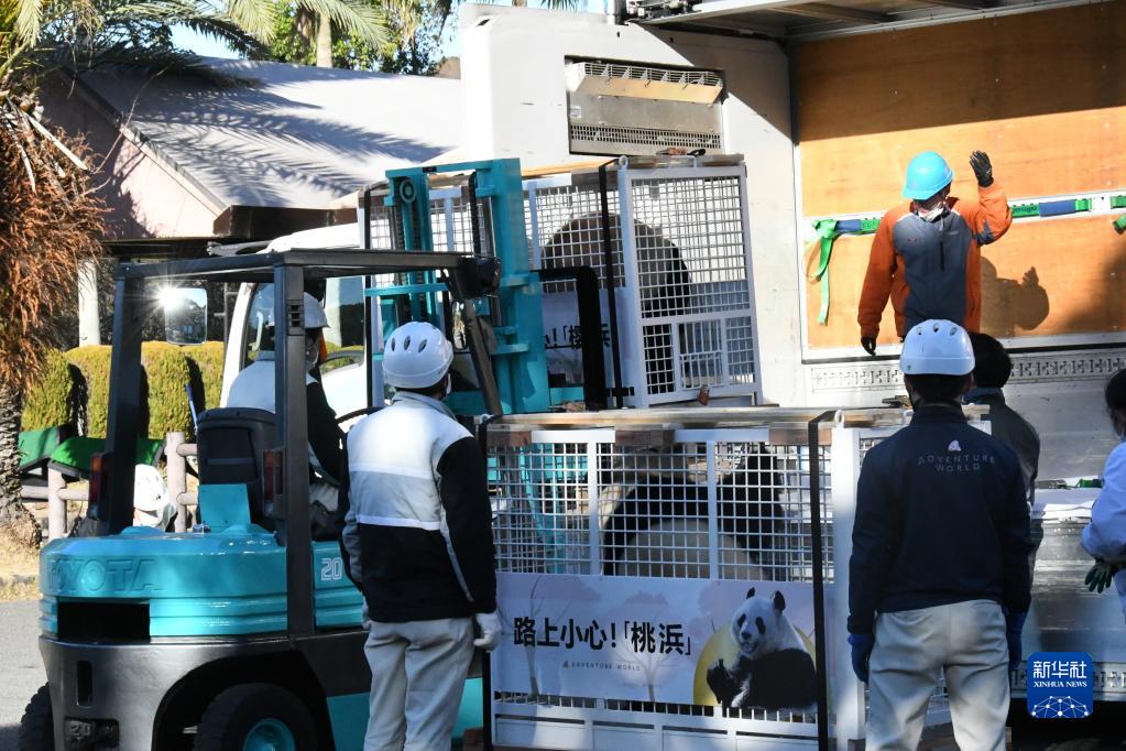 日本粉丝惜别大熊猫“永明”“樱浜”和“桃浜”