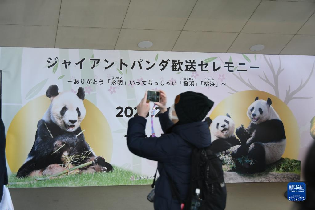 日本粉丝惜别大熊猫“永明”“樱浜”和“桃浜”