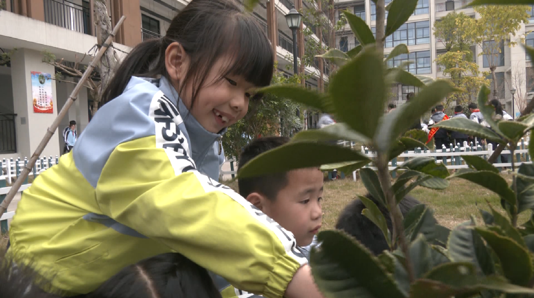 罗源县第三实验小学开展植树节活动