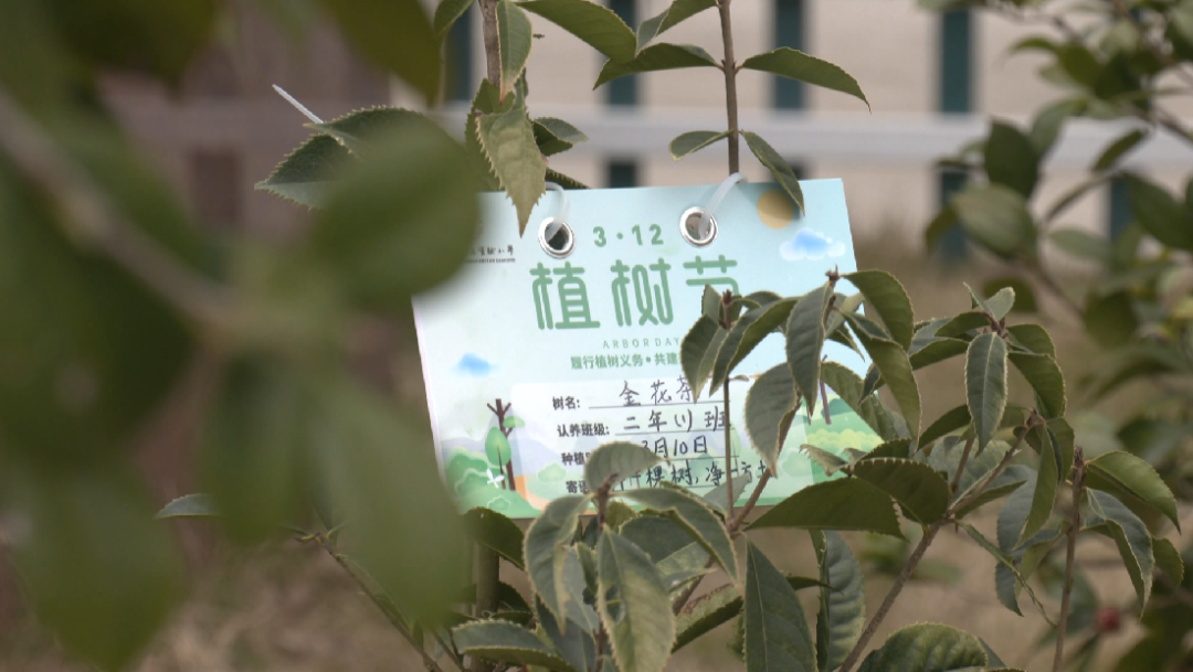 罗源县第三实验小学开展植树节活动