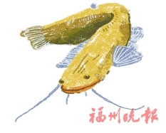闽江“禁渔+放鱼”只为“年年有鱼”