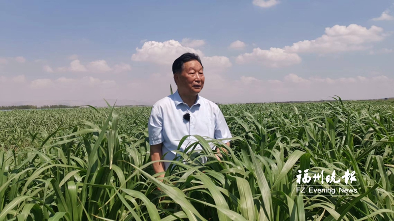 利用菌草技术造福世界 林占熺当选感动中国2022年度人物